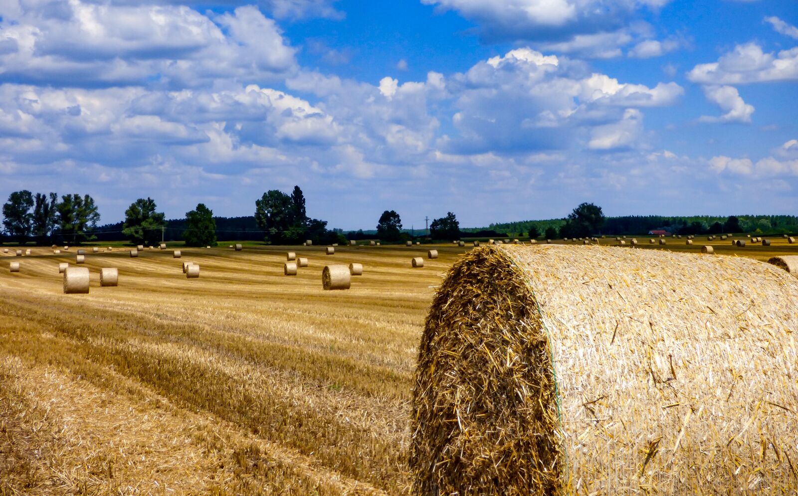Panasonic DMC-FZ72 sample photo. Straw bale, straw, field photography