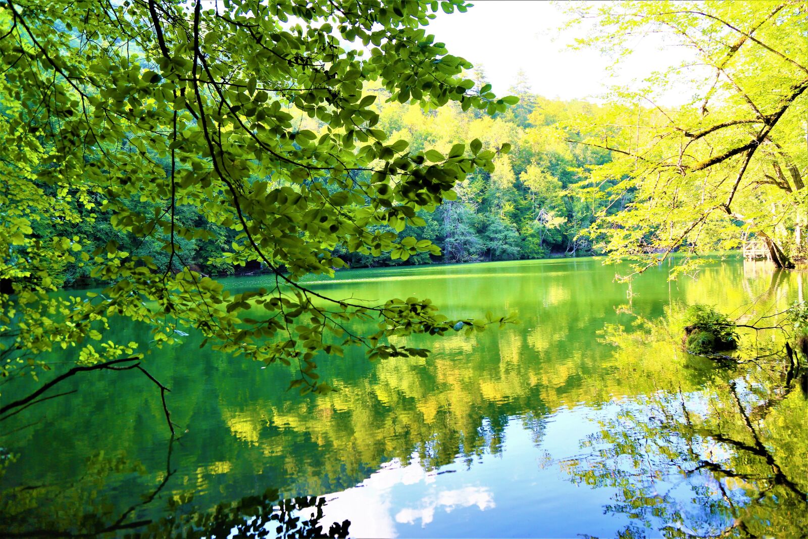 Canon EF 24-105mm F4L IS USM sample photo. Seven lakes, lake, water photography