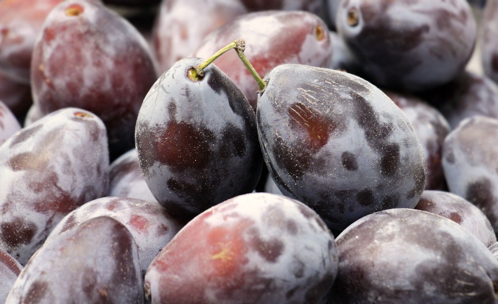 Canon EOS 100D (EOS Rebel SL1 / EOS Kiss X7) sample photo. Plums, fruit, fruits photography