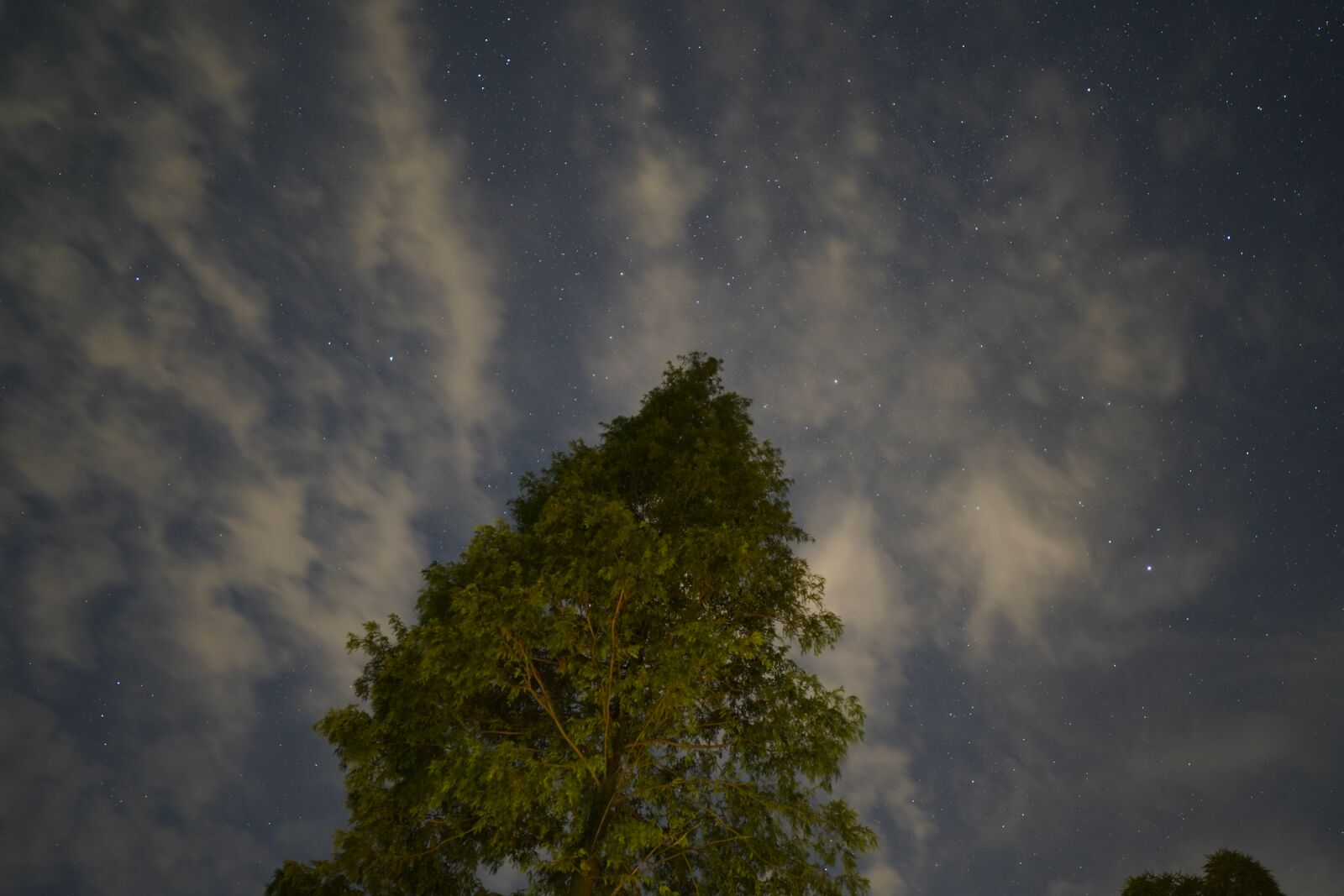 Sony a7 III + Sony Distagon T* FE 35mm F1.4 ZA sample photo. Night view, starry sky photography