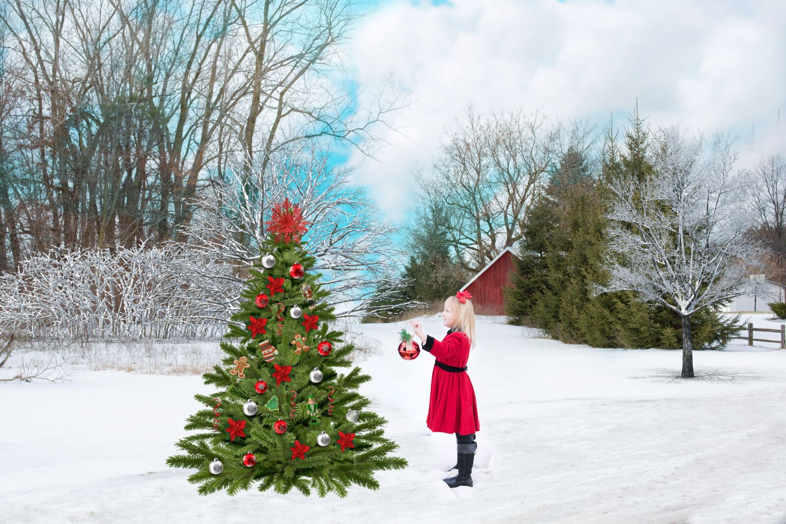 Canon EF 50mm F1.4 USM sample photo. Christmas, red, snow photography