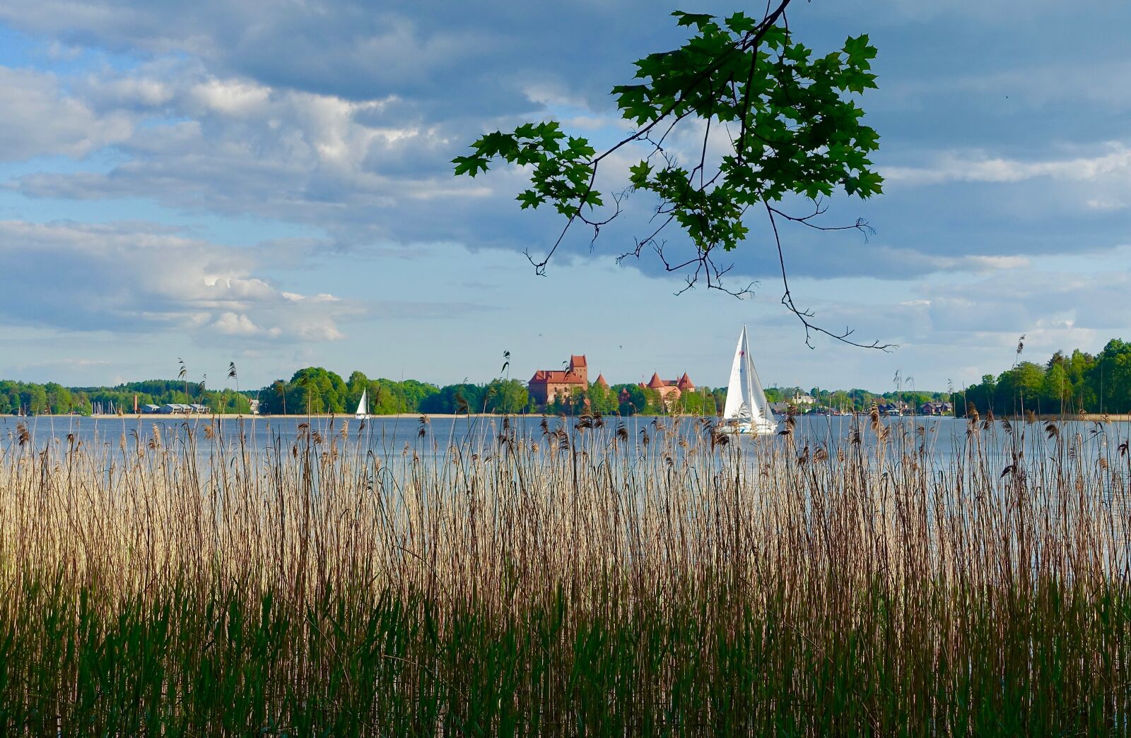 Sony Cyber-shot DSC-RX100 III sample photo. Reeds, grass, yacht photography