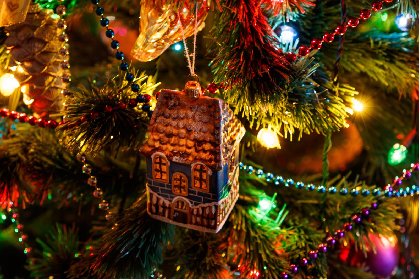 Canon EF 24-105mm F4L IS II USM sample photo. Christmas tree, new year's photography
