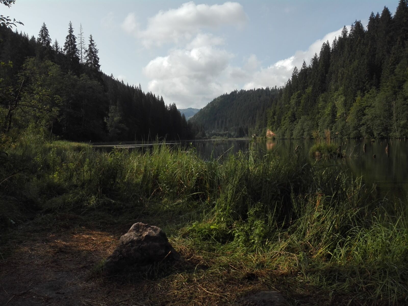 HUAWEI P8 Lite sample photo. Theredlake photography