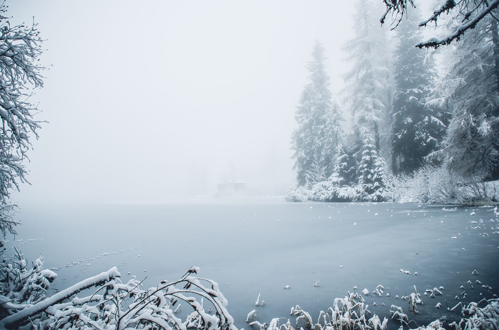 Nikon D7000 sample photo. Winter, ice, snow photography