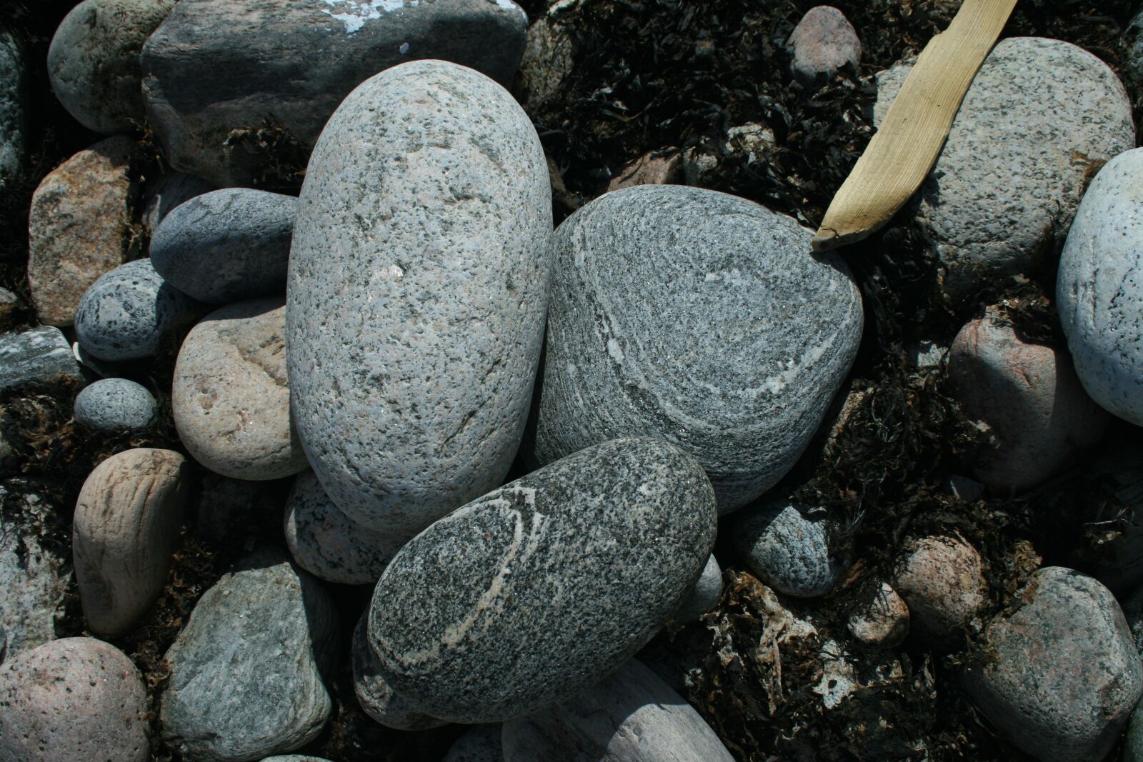Canon EOS 400D (EOS Digital Rebel XTi / EOS Kiss Digital X) sample photo. Stones, nature, beach photography