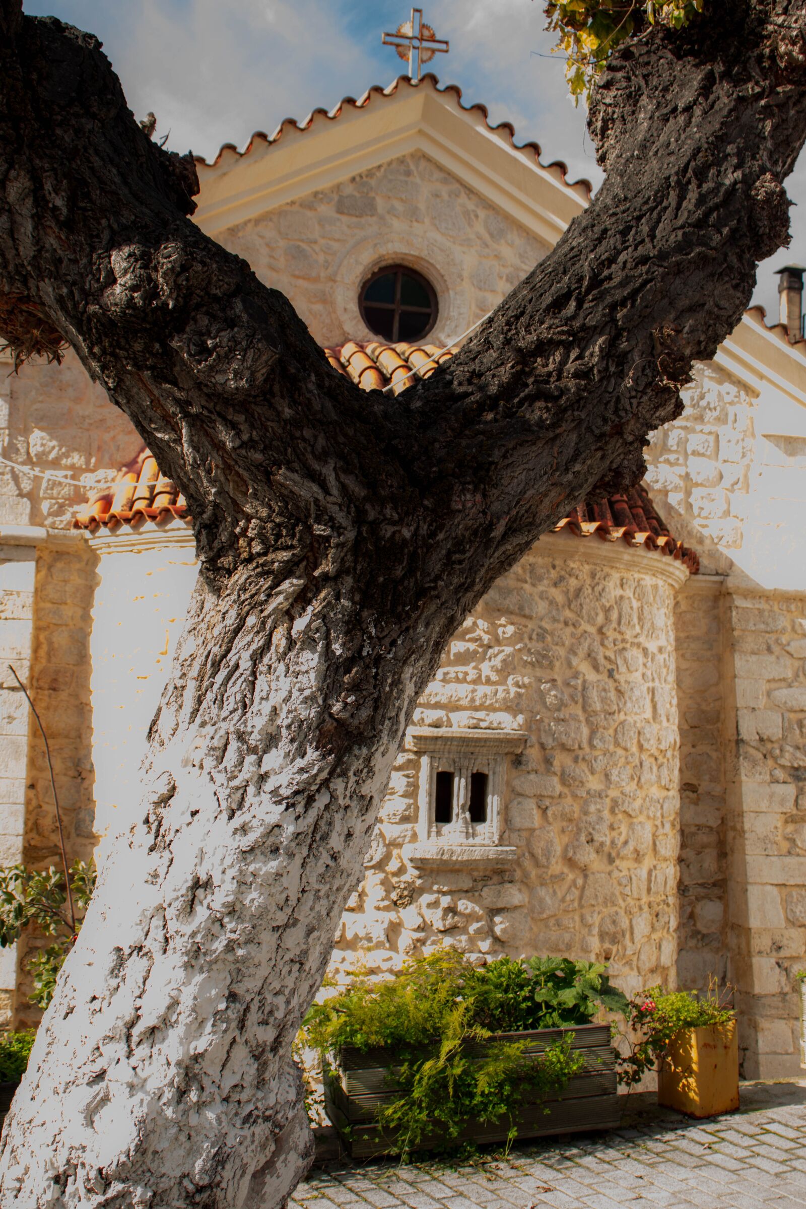 Canon EOS 800D (EOS Rebel T7i / EOS Kiss X9i) sample photo. Church, tree, cross photography