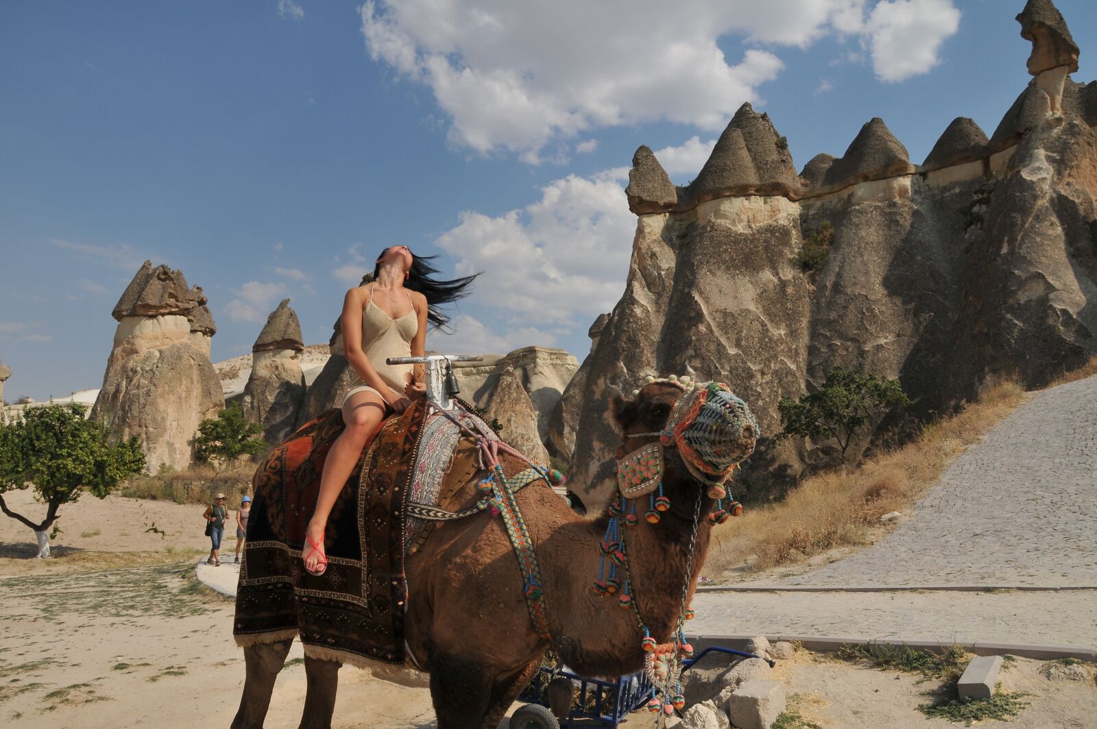 Nikon D300 sample photo. Camel, cappadocia, tourist photography