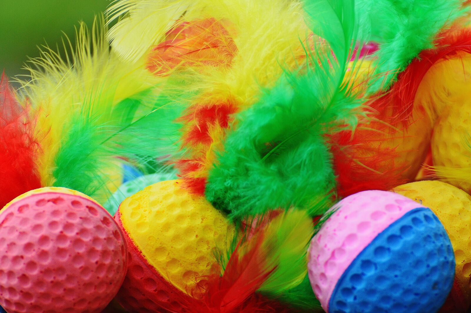 Nikon D3200 sample photo. Foam balls, feather, colorful photography