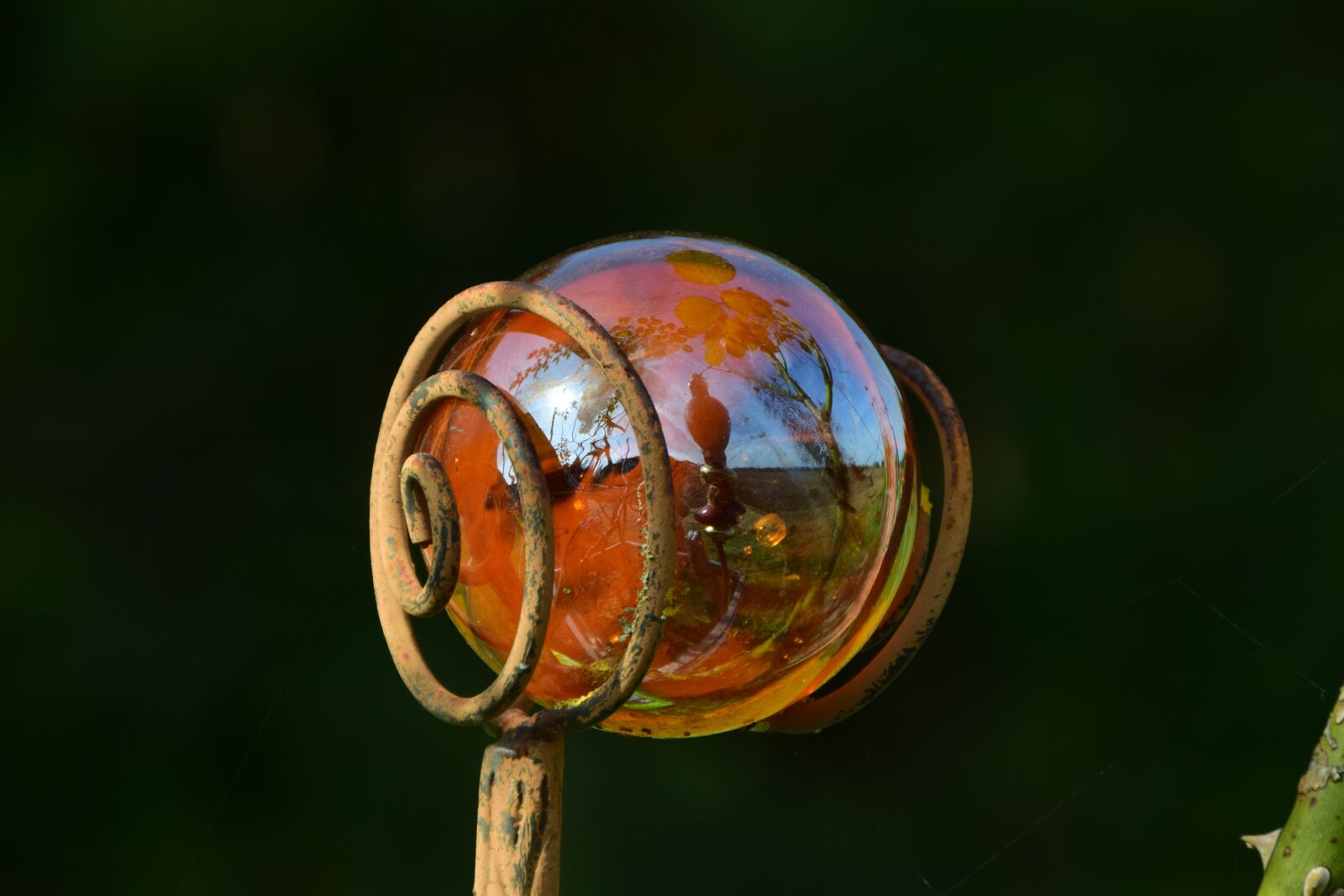 Nikon D3300 sample photo. Jewellery, decoration, garden decoration photography