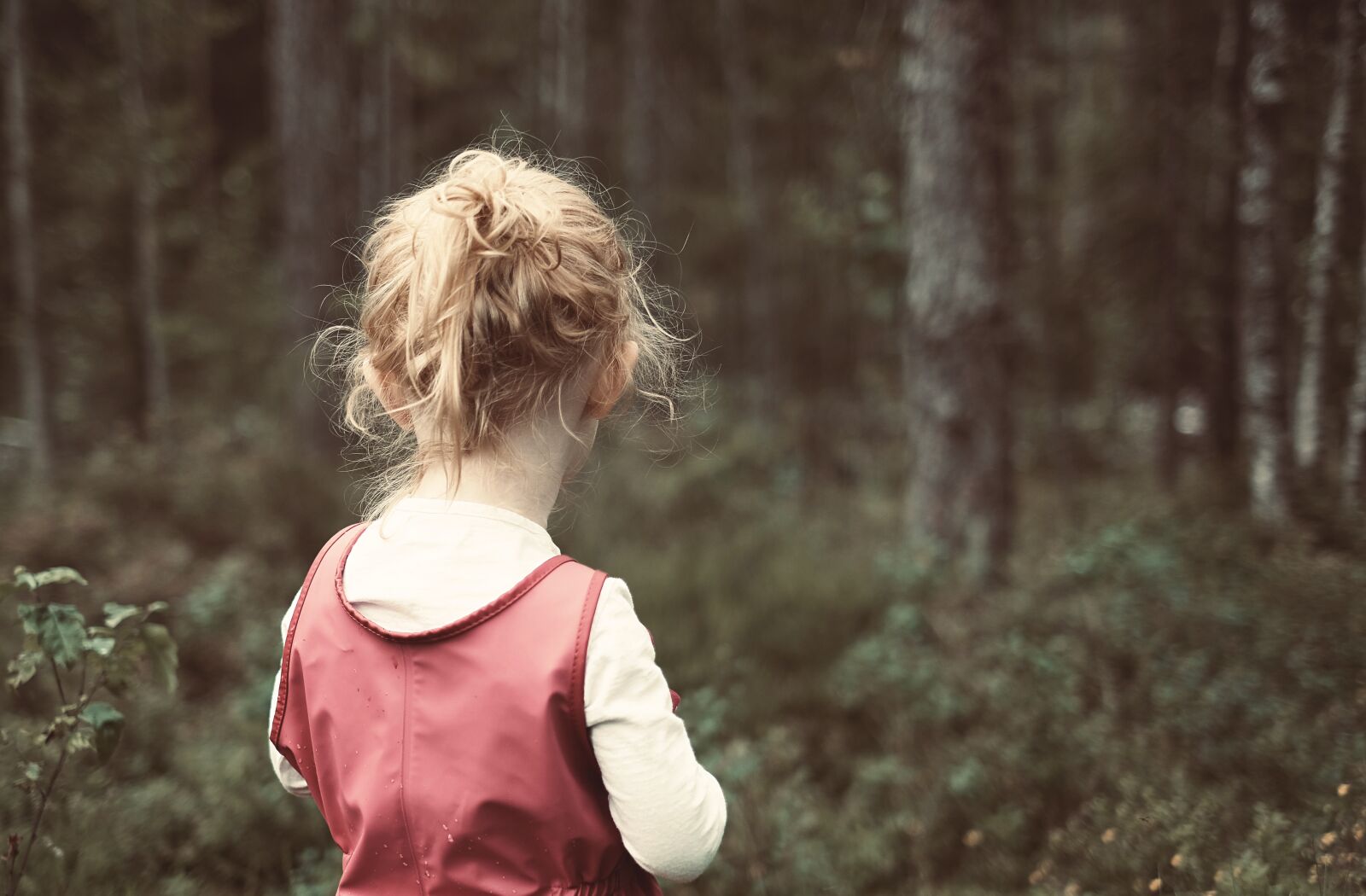 Fujifilm XF 35mm F1.4 R sample photo. Girl, child, forest photography