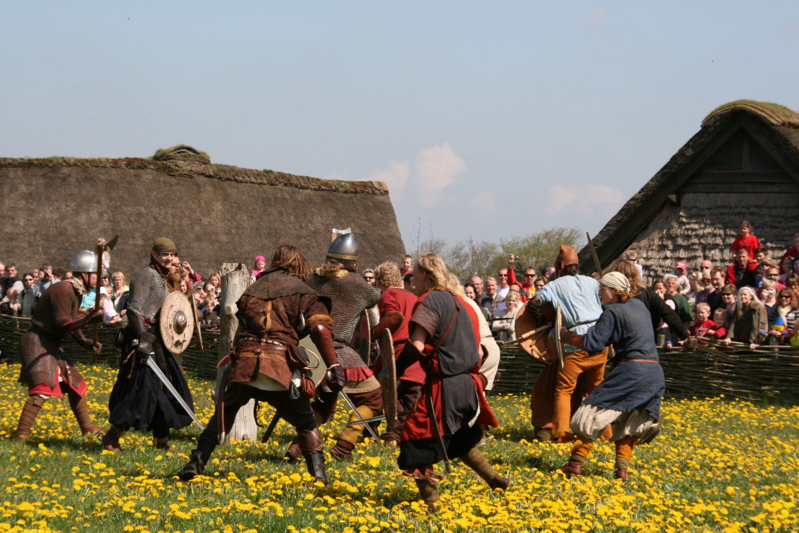 Sigma 18-200mm f/3.5-6.3 DC OS sample photo. Vikings photography
