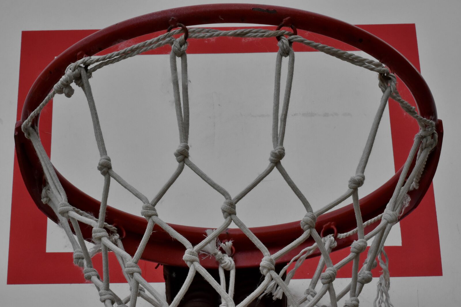 Nikon D5500 sample photo. Sport, web, recreation, game photography