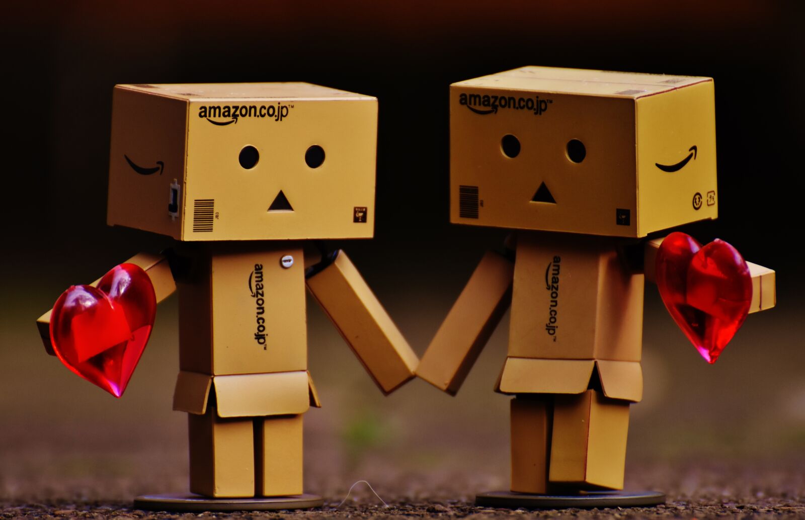 Nikon D7200 sample photo. Danbo, figure, together photography