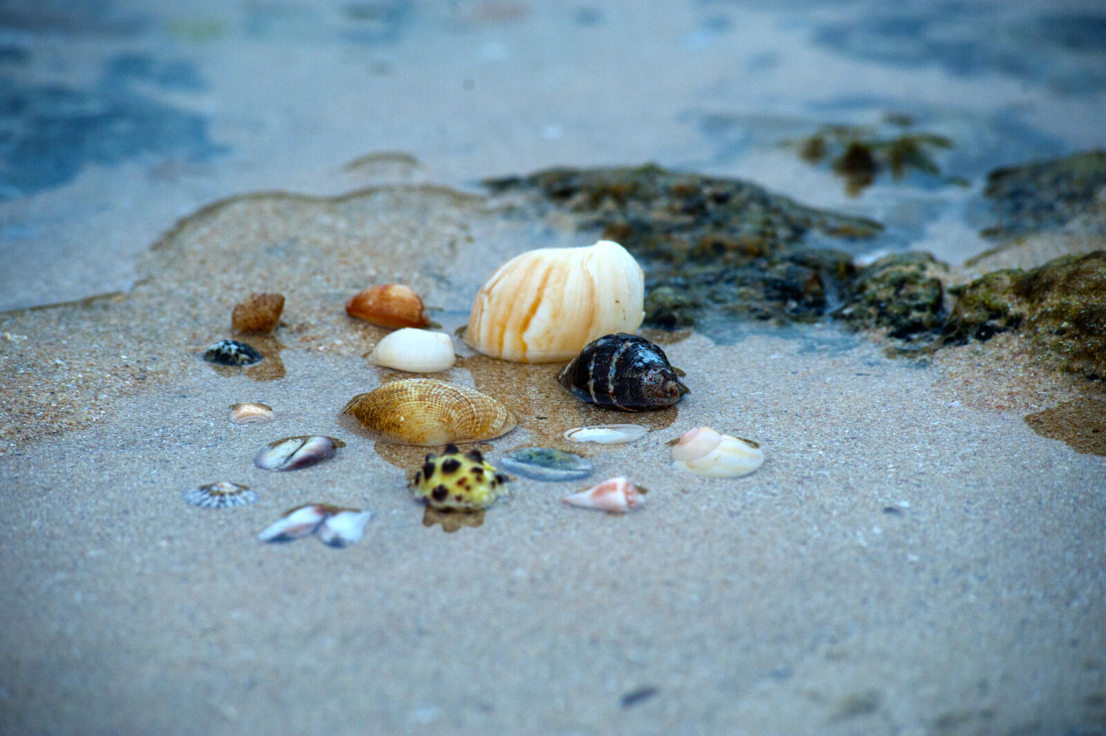 Nikon D700 sample photo. Beach, ocean, sand, sea photography