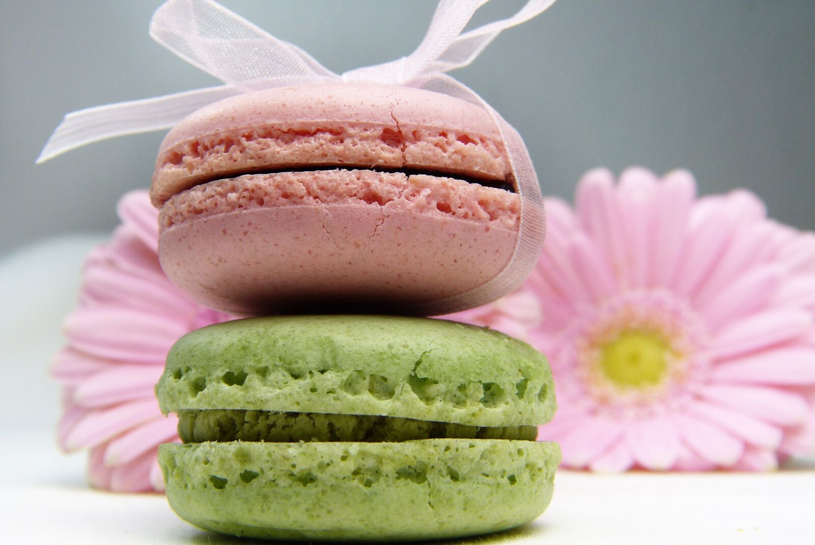Panasonic Lumix DMC-FZ150 sample photo. Macaron, gerbera, loop tape photography