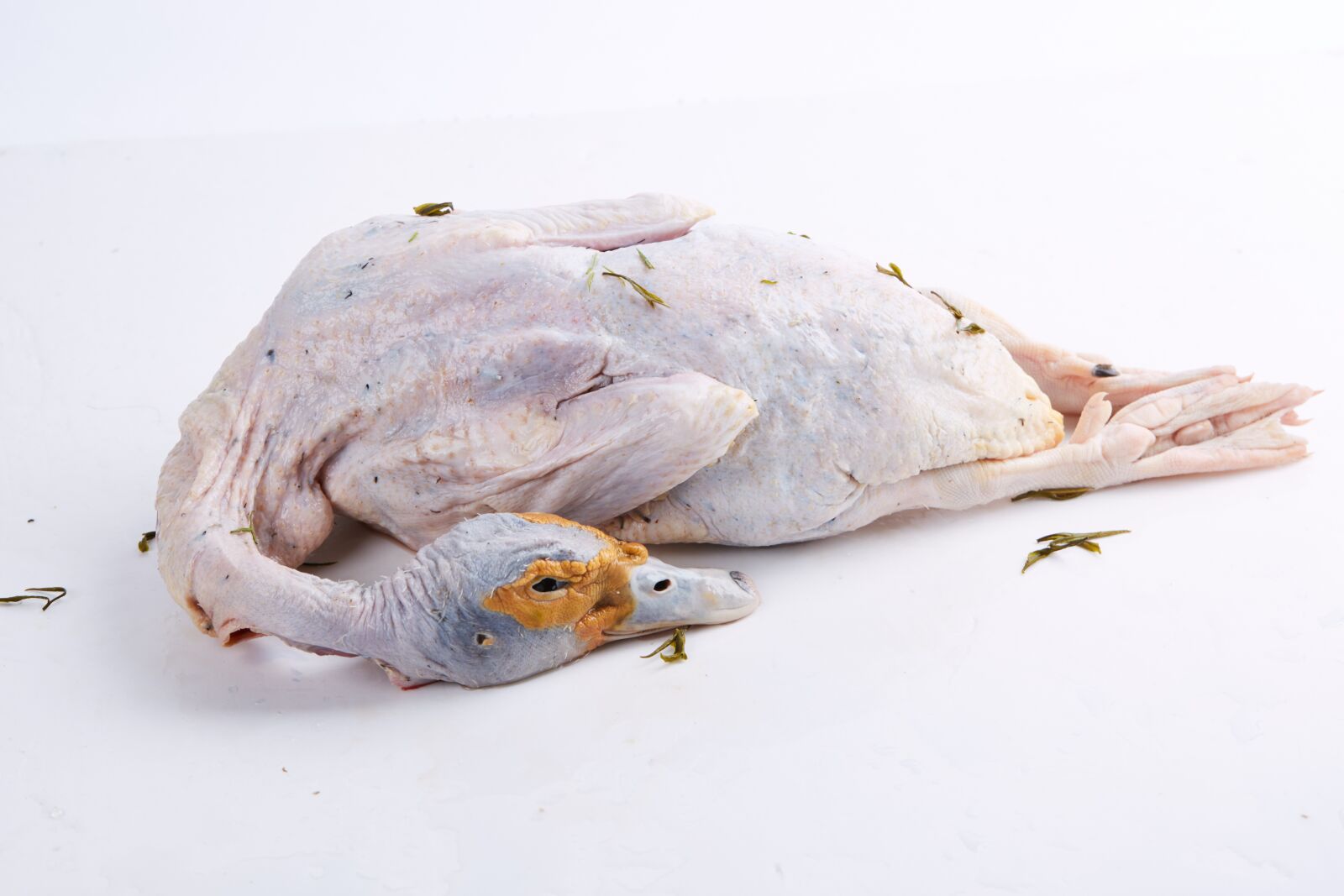 Canon EOS 5D Mark III sample photo. Duck, meat, food photography