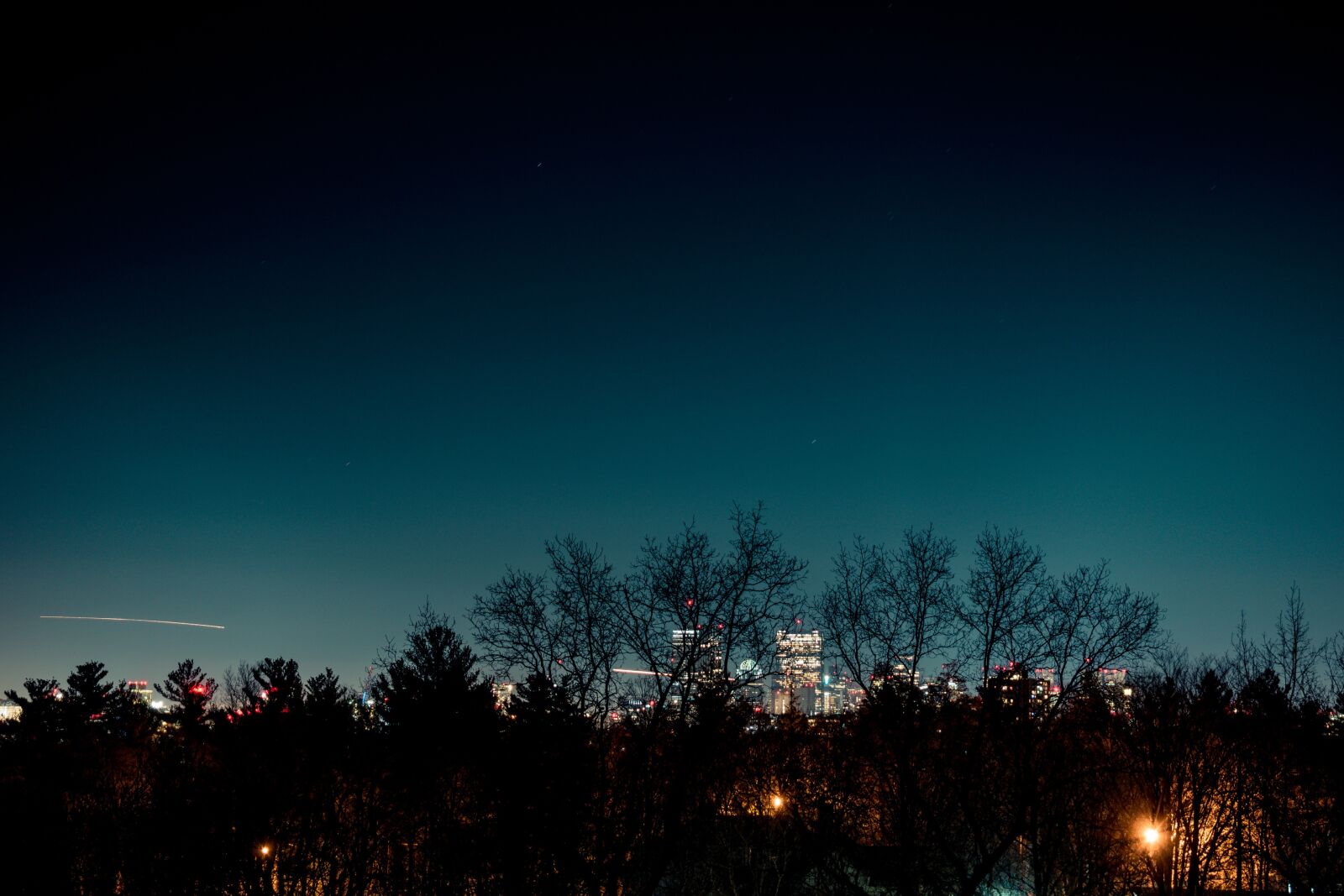 Nikon D5600 sample photo. Skyline, boston, city photography