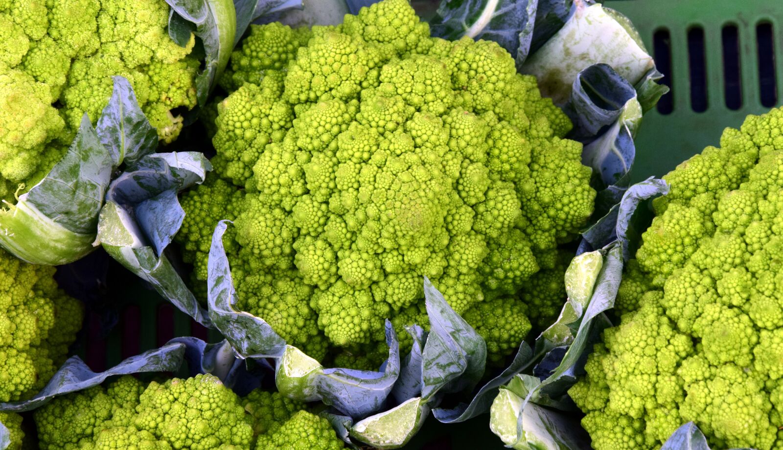 Nikon D3300 sample photo. Kohl, cauliflower, vegetables photography