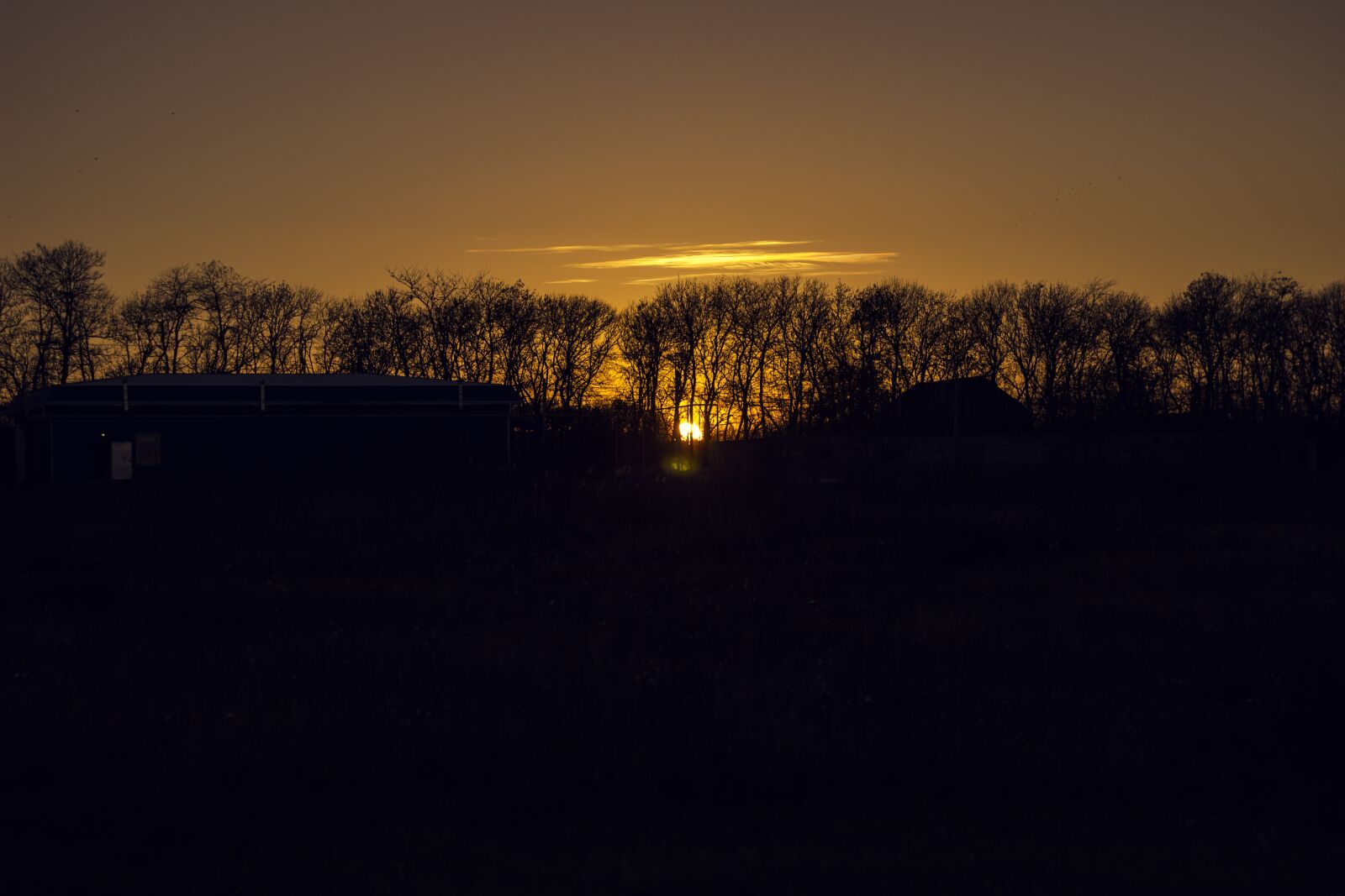 Canon EOS 600D (Rebel EOS T3i / EOS Kiss X5) + Canon EF 50mm F1.8 II sample photo. Sunset, trees, evening photography
