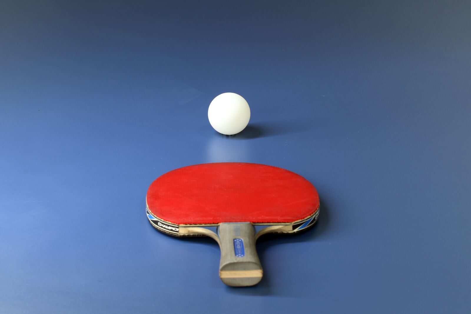 Canon EOS 800D (EOS Rebel T7i / EOS Kiss X9i) sample photo. Table tennis, sport, games photography