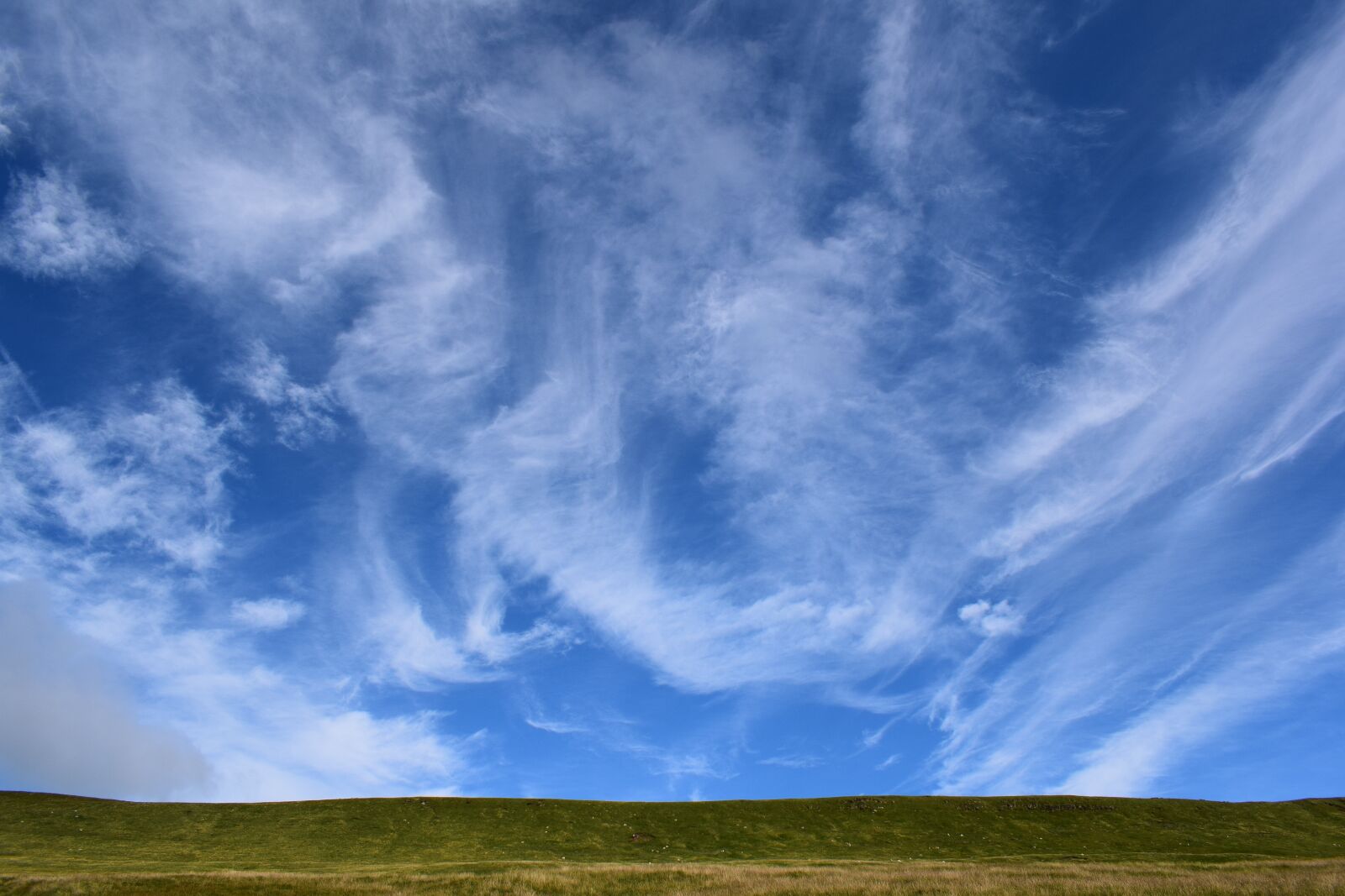 Nikon D3300 sample photo. Sky, nature, freedom photography