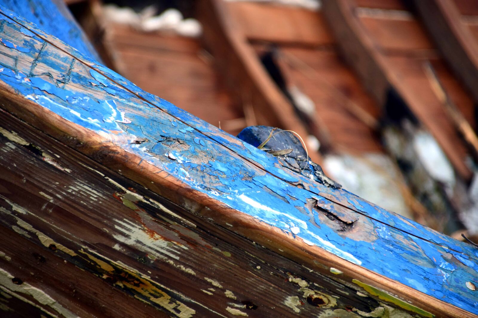 Nikon D3300 sample photo. Wood, old, texture, door photography