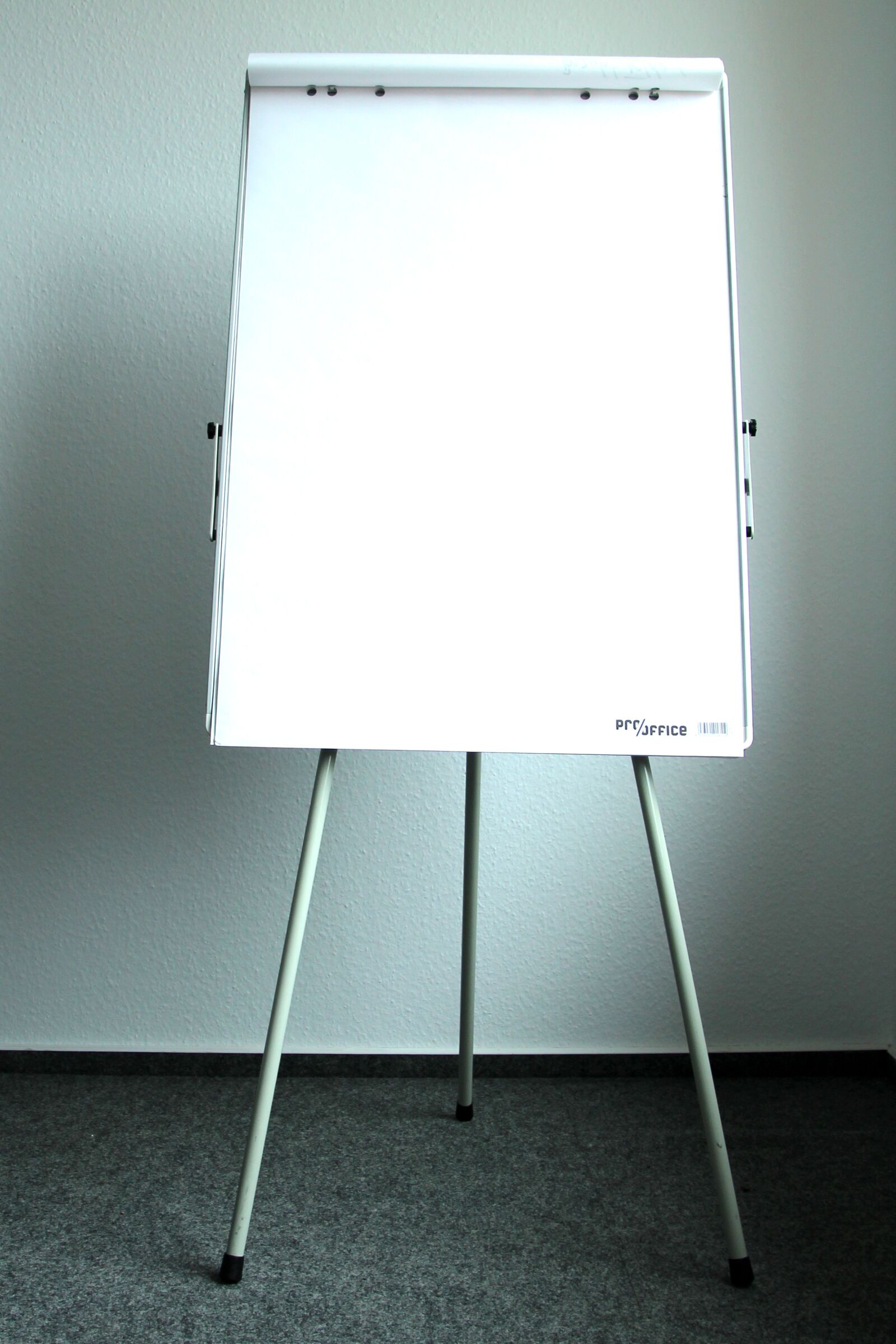 Canon EOS 600D (Rebel EOS T3i / EOS Kiss X5) sample photo. Present, flipchart, board photography