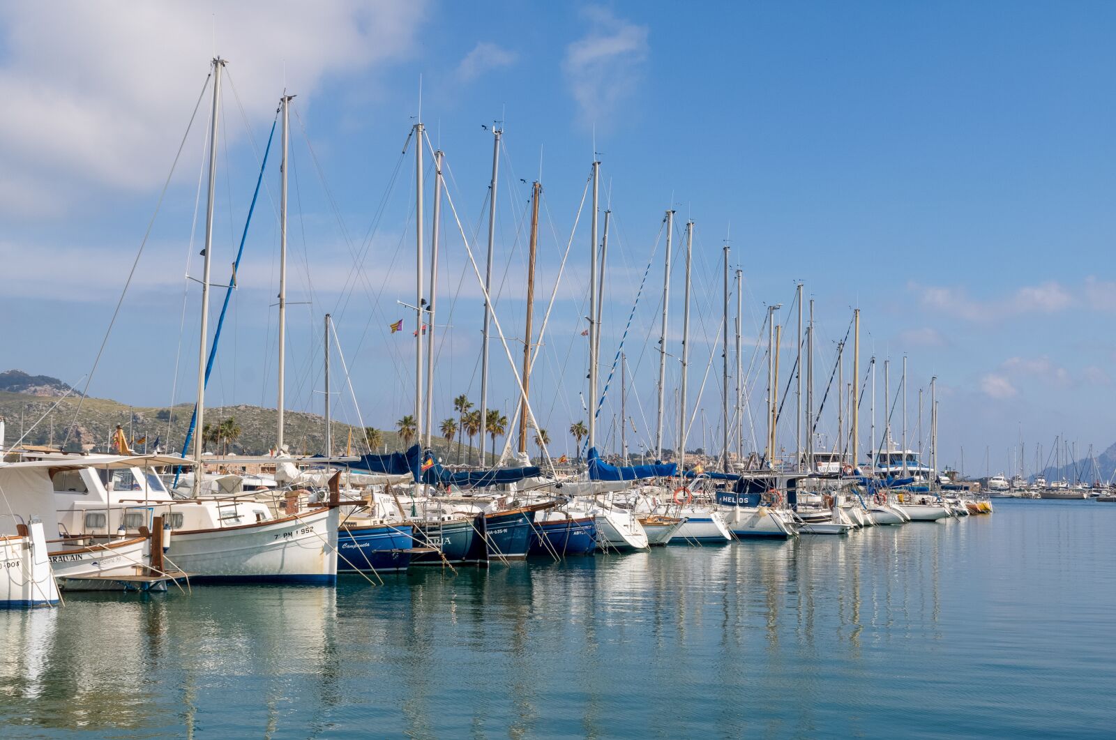 Canon EOS 750D (EOS Rebel T6i / EOS Kiss X8i) sample photo. Mallorca, port de pollen photography
