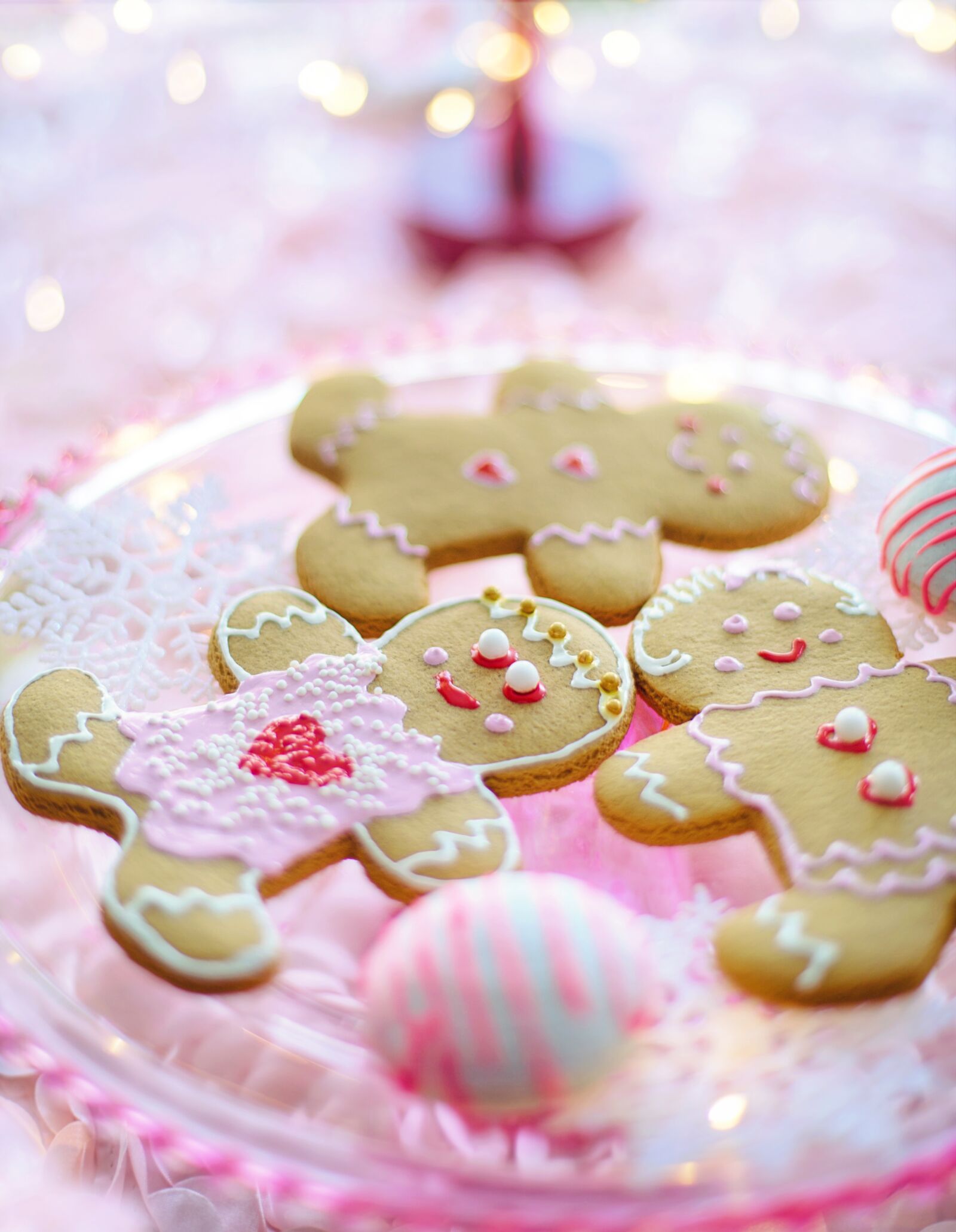 Canon EF 50mm F1.4 USM sample photo. Gingerbread men, women, cookies photography