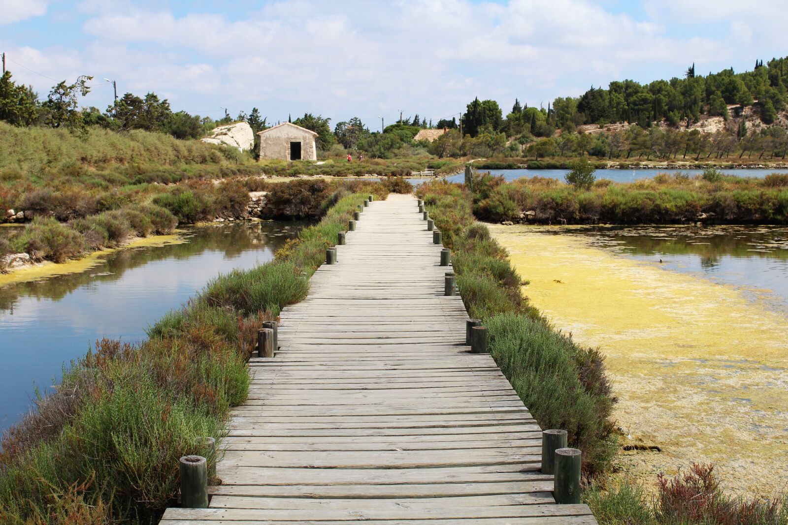 Canon EOS 1200D (EOS Rebel T5 / EOS Kiss X70 / EOS Hi) sample photo. Bridge, salins, wooden bridge photography