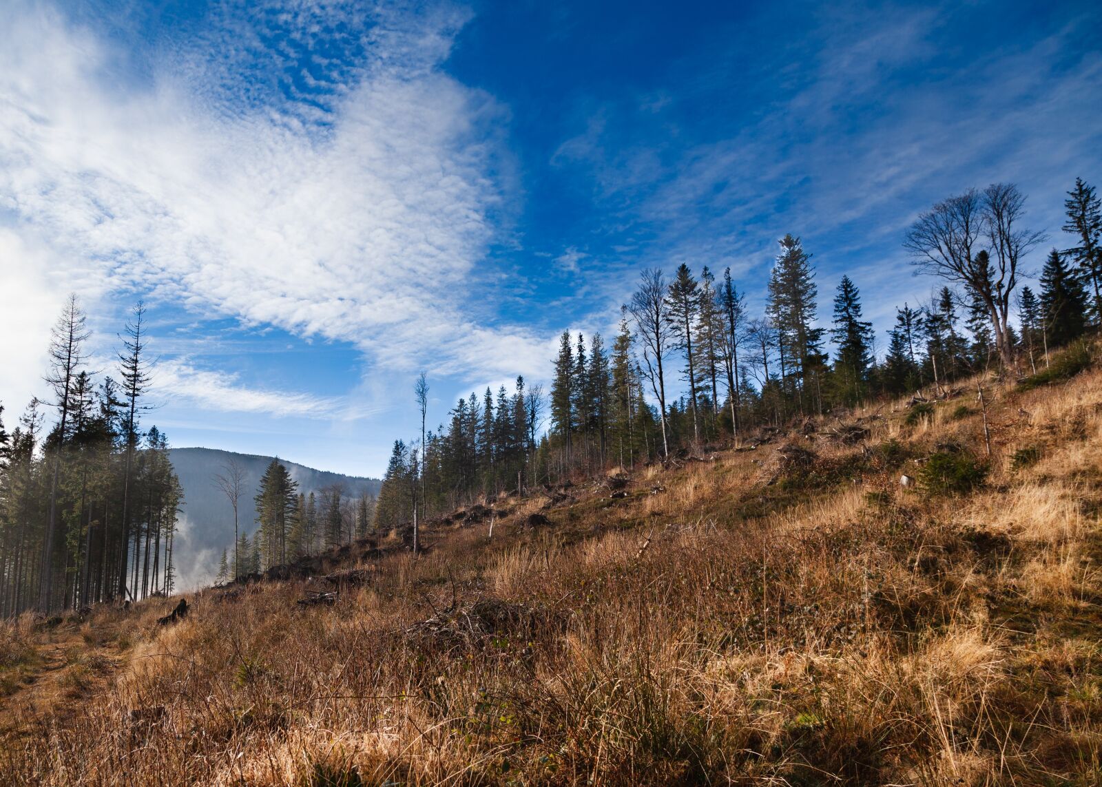 Canon EOS 5D Mark II sample photo. Pilsko, beskidy, beskids photography