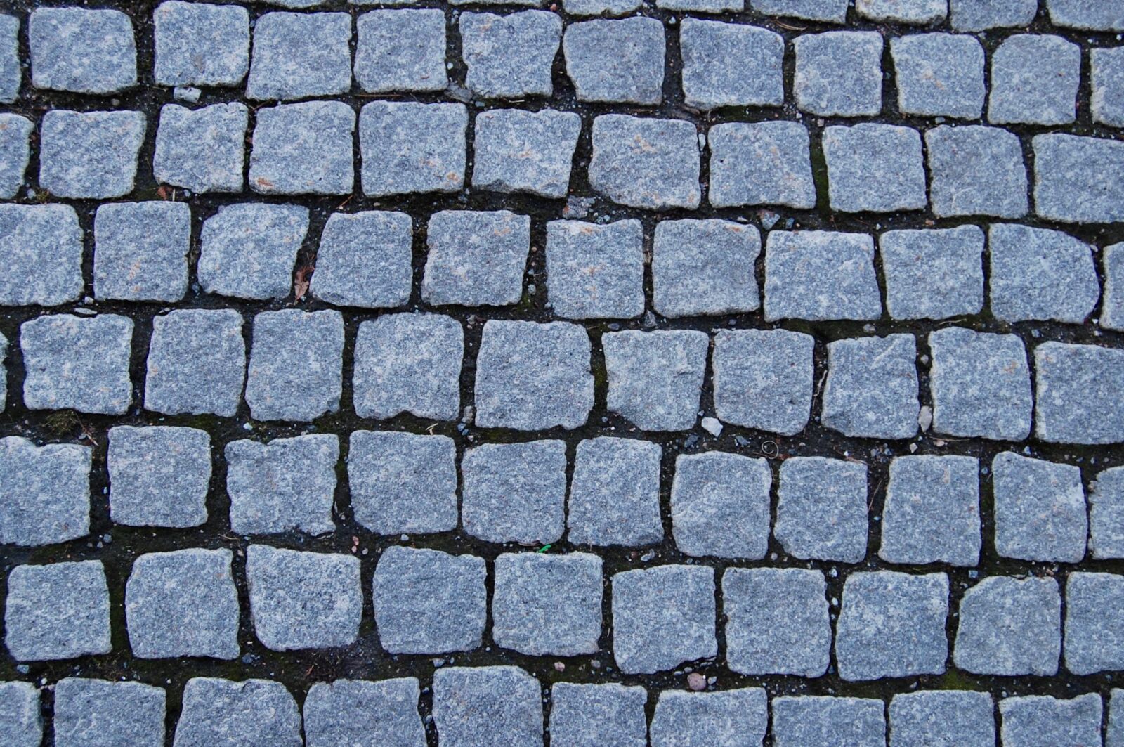 Nikon D40 sample photo. Cobblestone, street, old photography