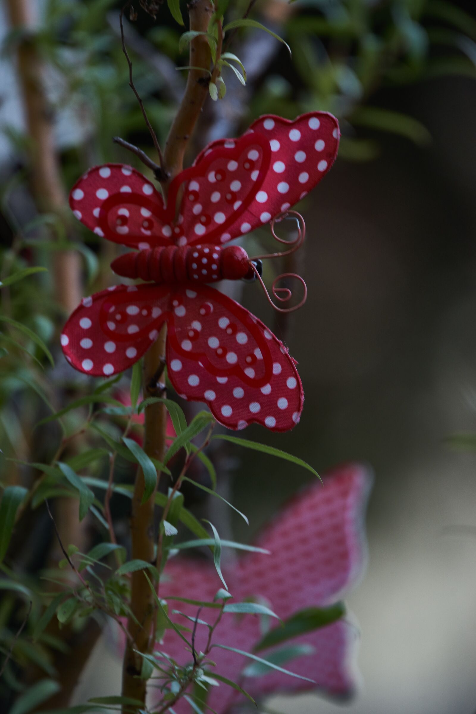 Pentax K-1 sample photo. Garden, gartendeko, garden design photography