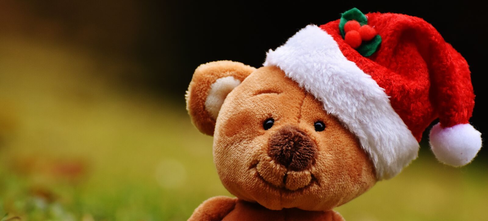 Nikon D7200 sample photo. Christmas, teddy, soft toy photography