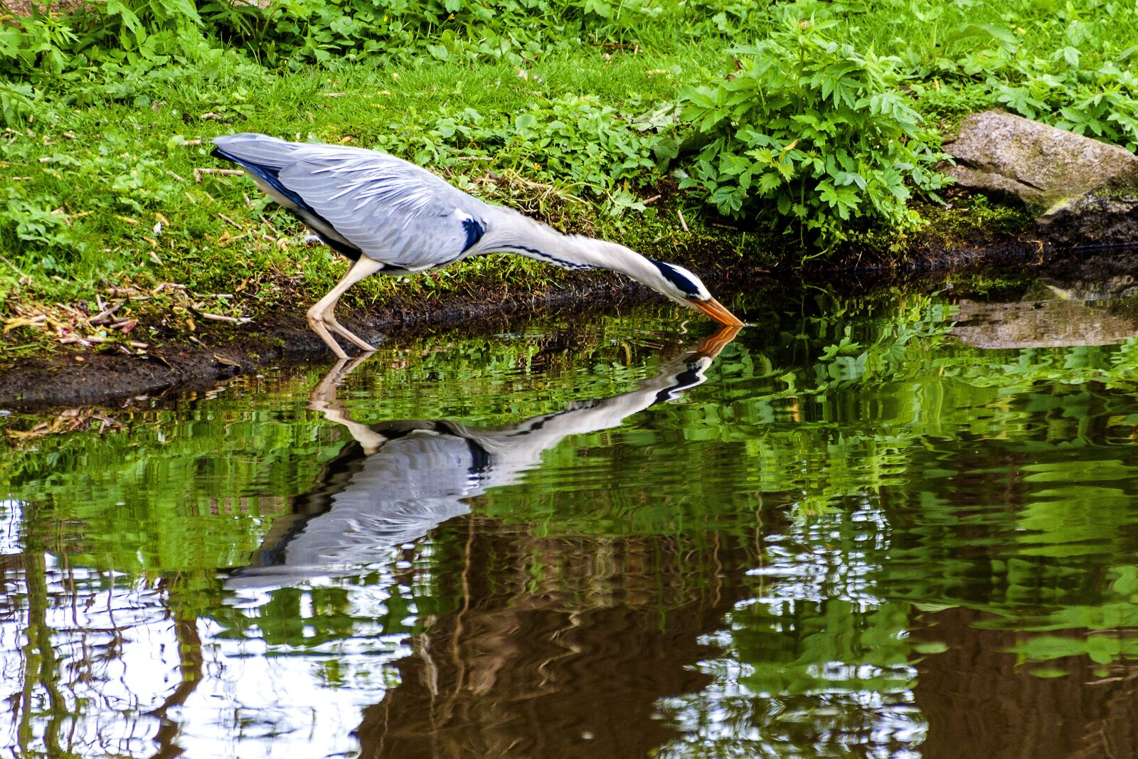 Canon EOS 50D sample photo. Germany, mecklenburg western pomerania photography
