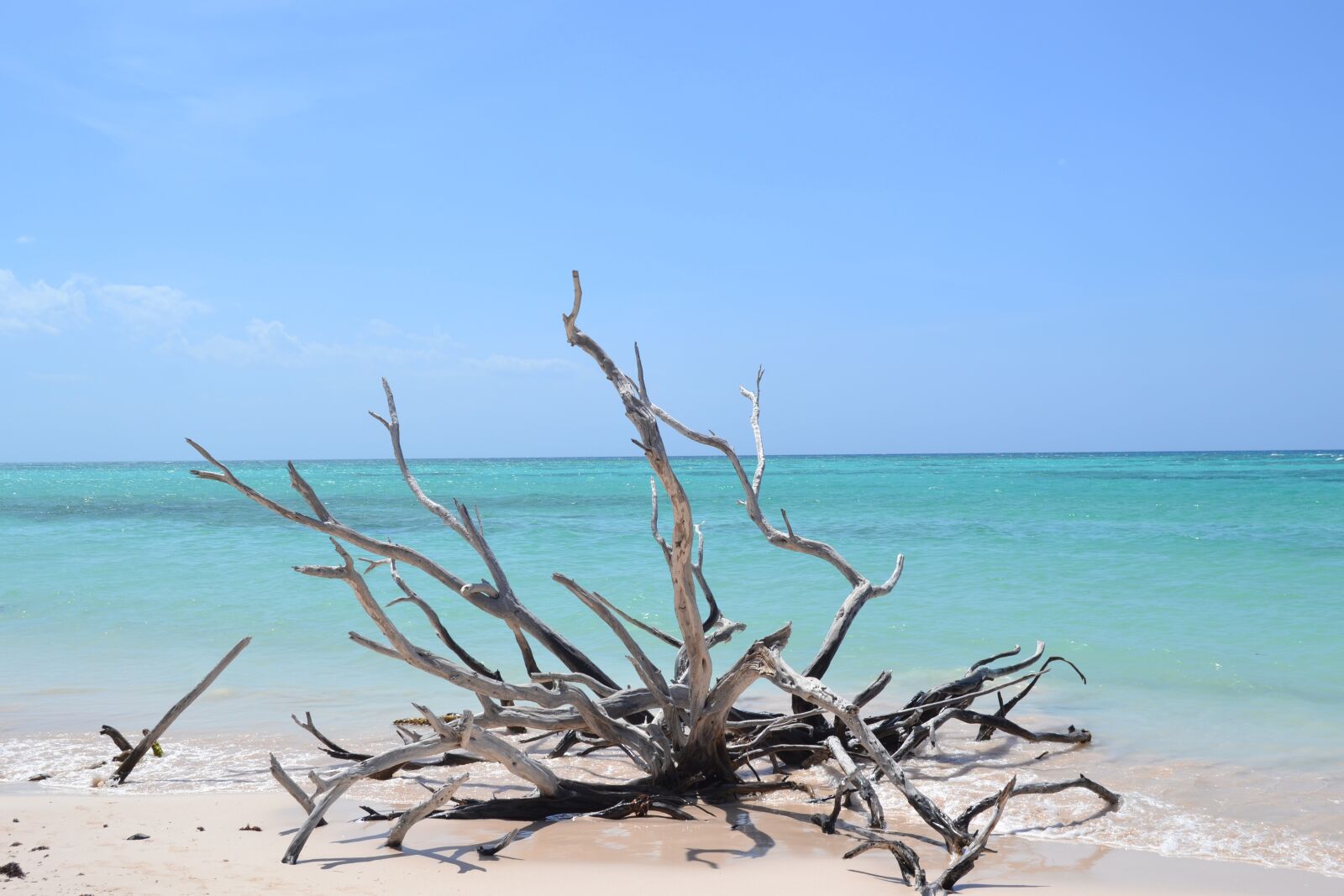 Nikon D3100 sample photo. Cuba, caribbean, atlantic photography