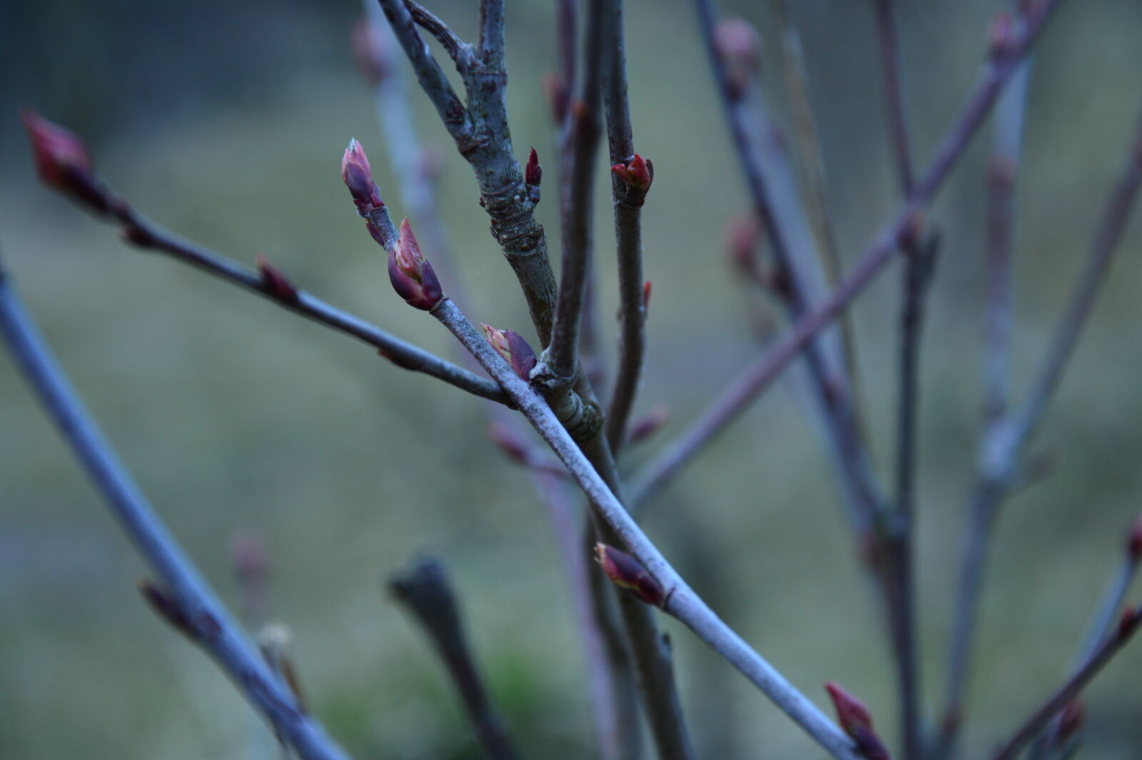 Nikon D3200 sample photo