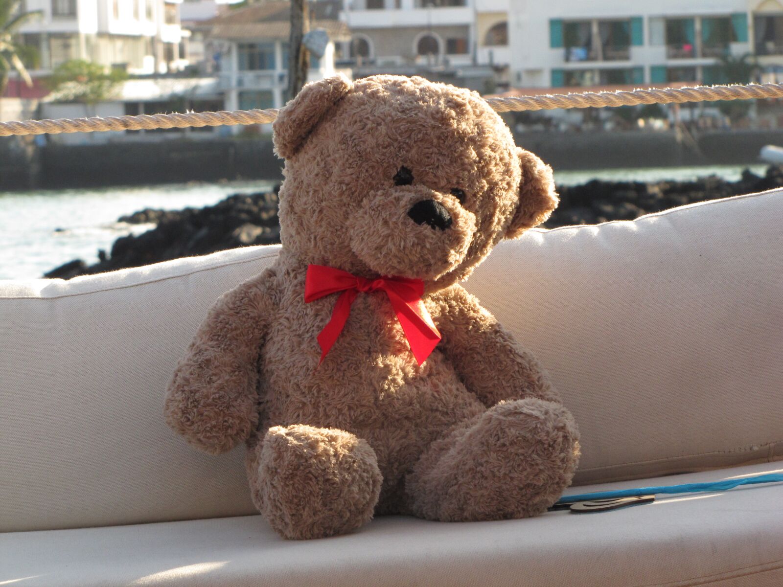 Canon PowerShot SX20 IS sample photo. Teddy, chair, bear photography