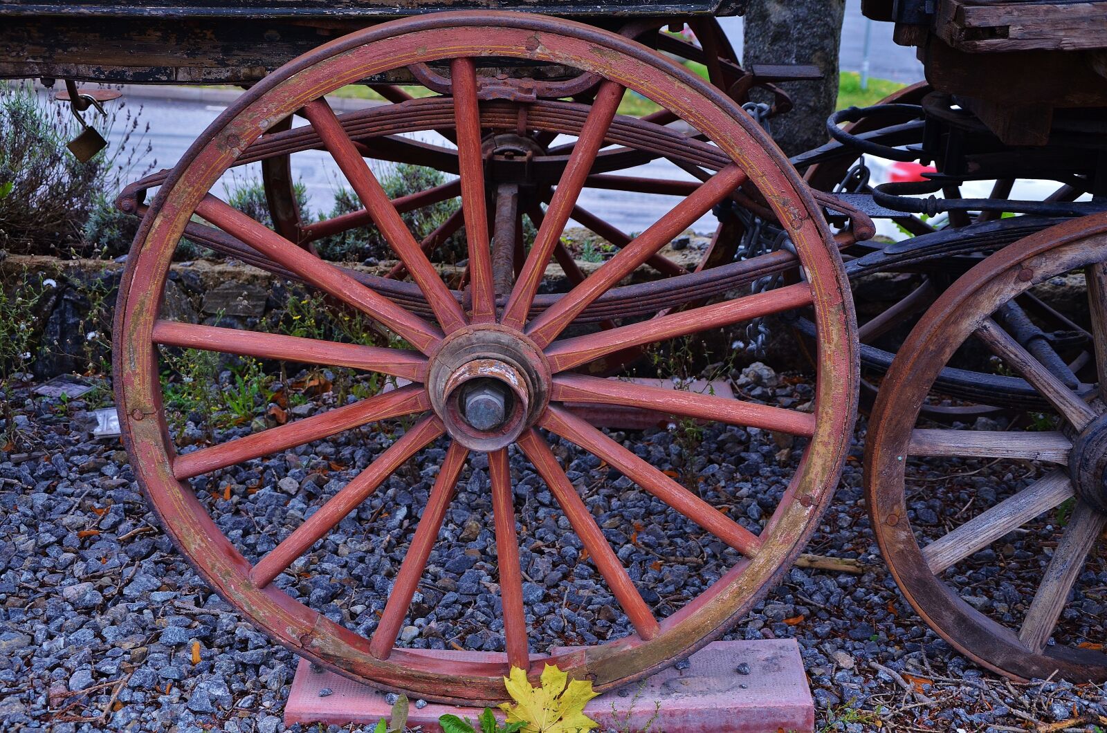 Nikon D7000 sample photo. Horse, carrige, travel photography