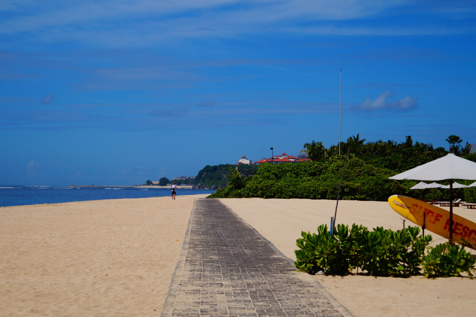 Sony SLT-A58 sample photo. Bali, beach, board, walk photography