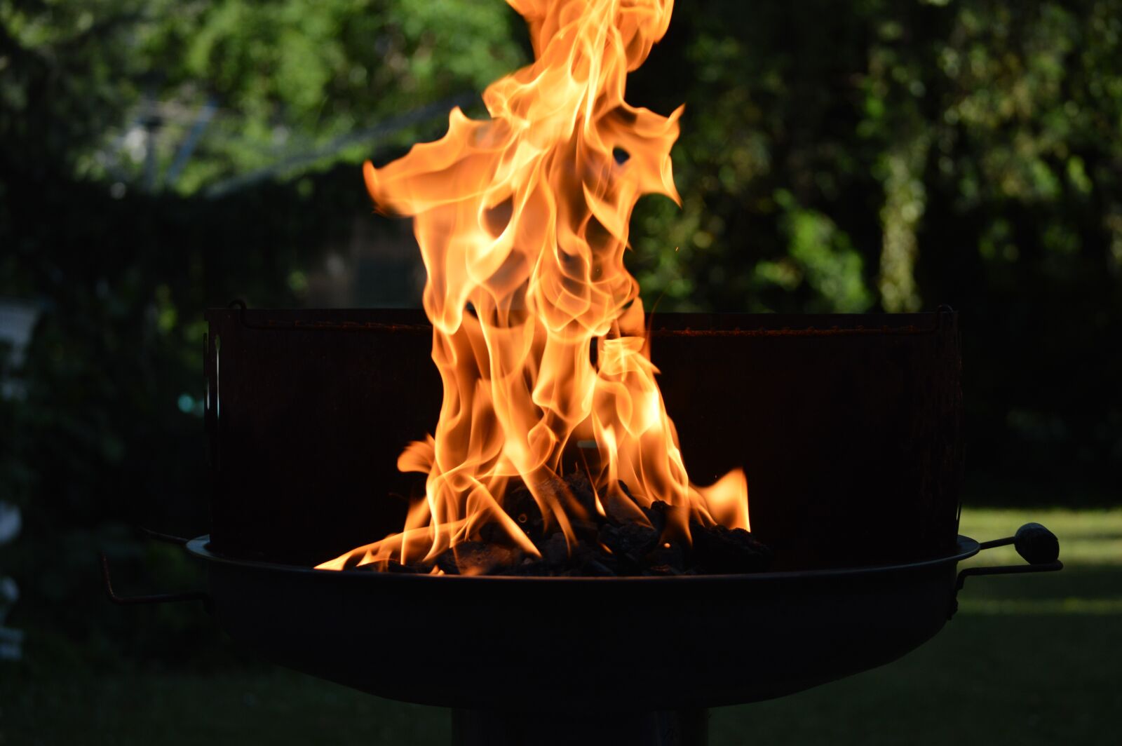 Nikon D3200 sample photo. Fire, grill, flame photography
