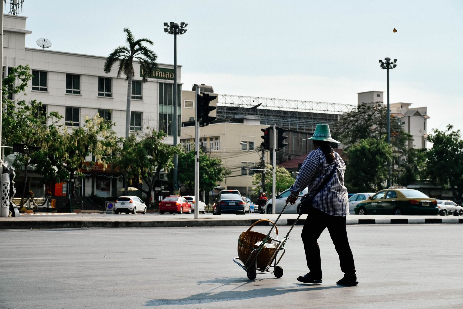 Nikon D5500 sample photo. Cart, lady, old photography