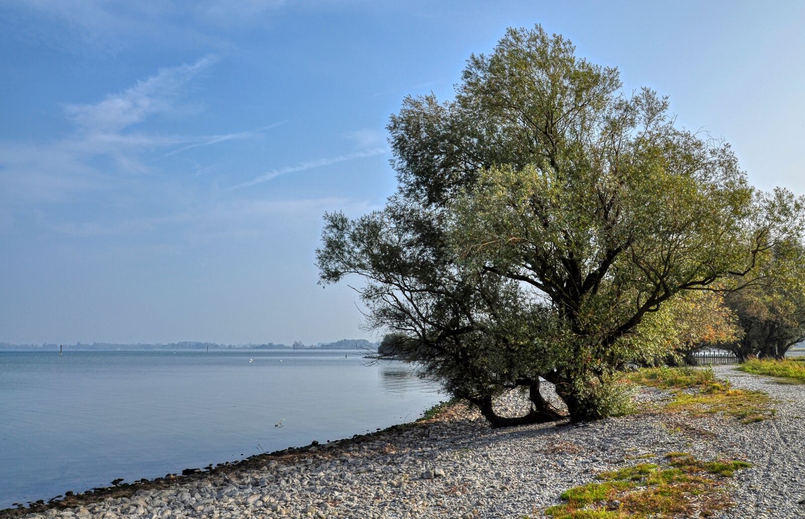 Nikon D5000 sample photo. Lake, bank, nature photography