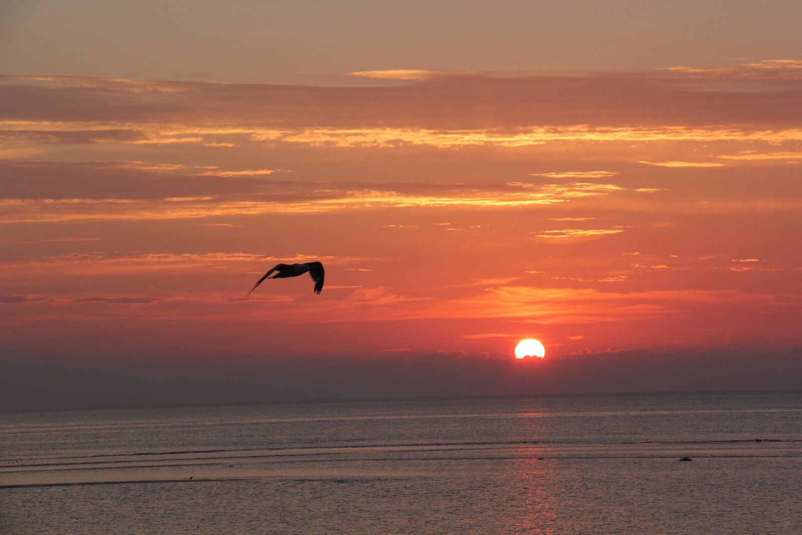 Canon EF-S 18-200mm F3.5-5.6 IS sample photo. Sunrise, ocean, sea photography