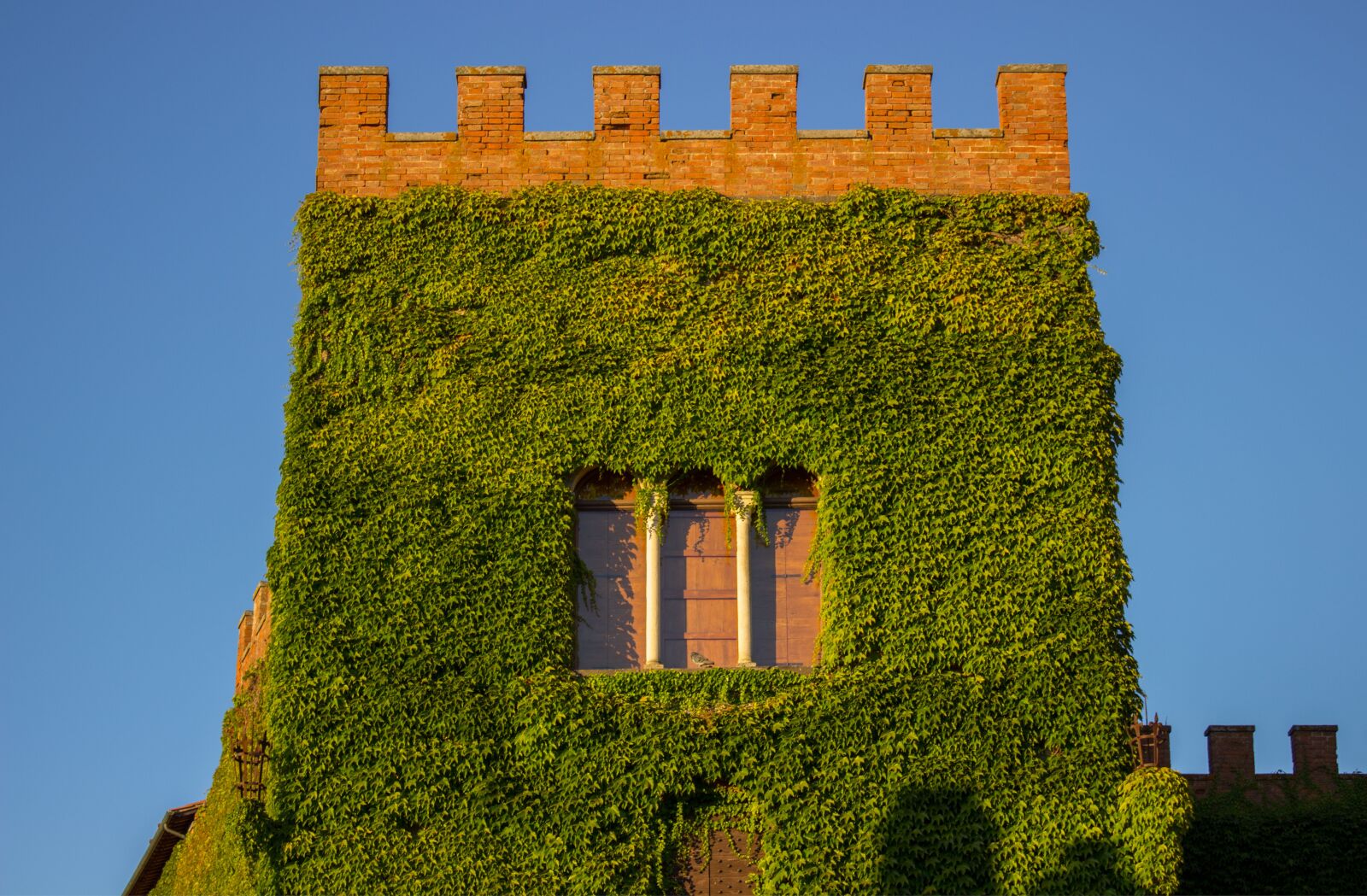 Canon EOS 600D (Rebel EOS T3i / EOS Kiss X5) sample photo. Tuscany, italy, castello di photography