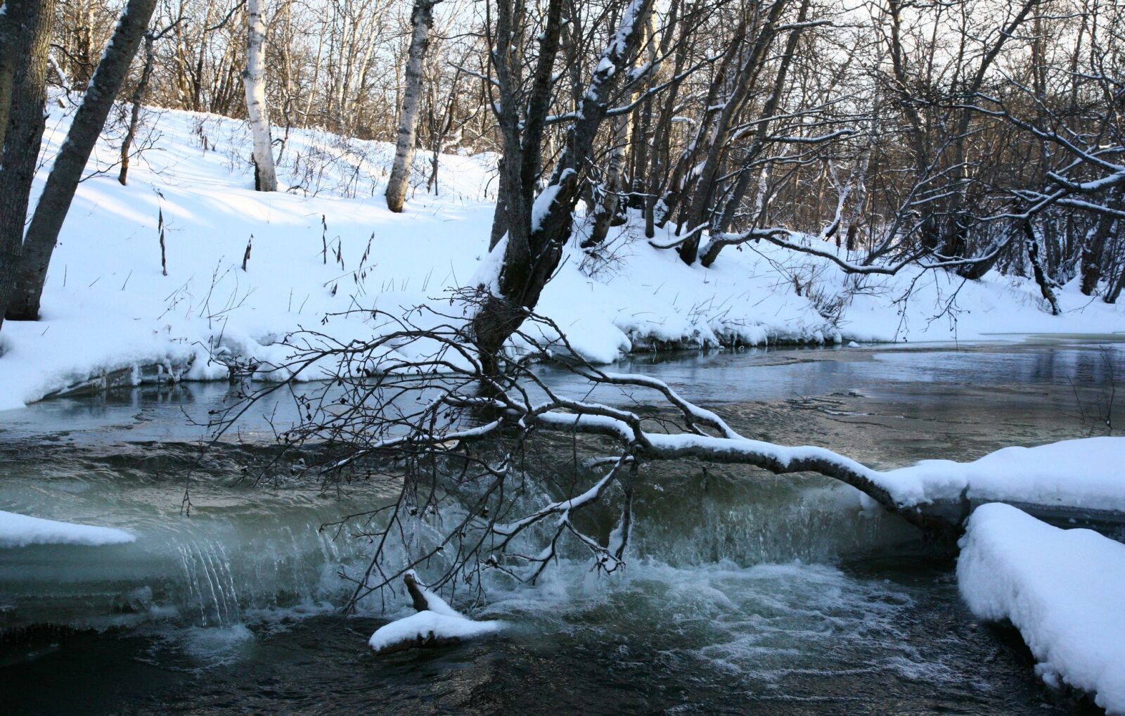 Canon EOS 5D sample photo. River, back on track photography