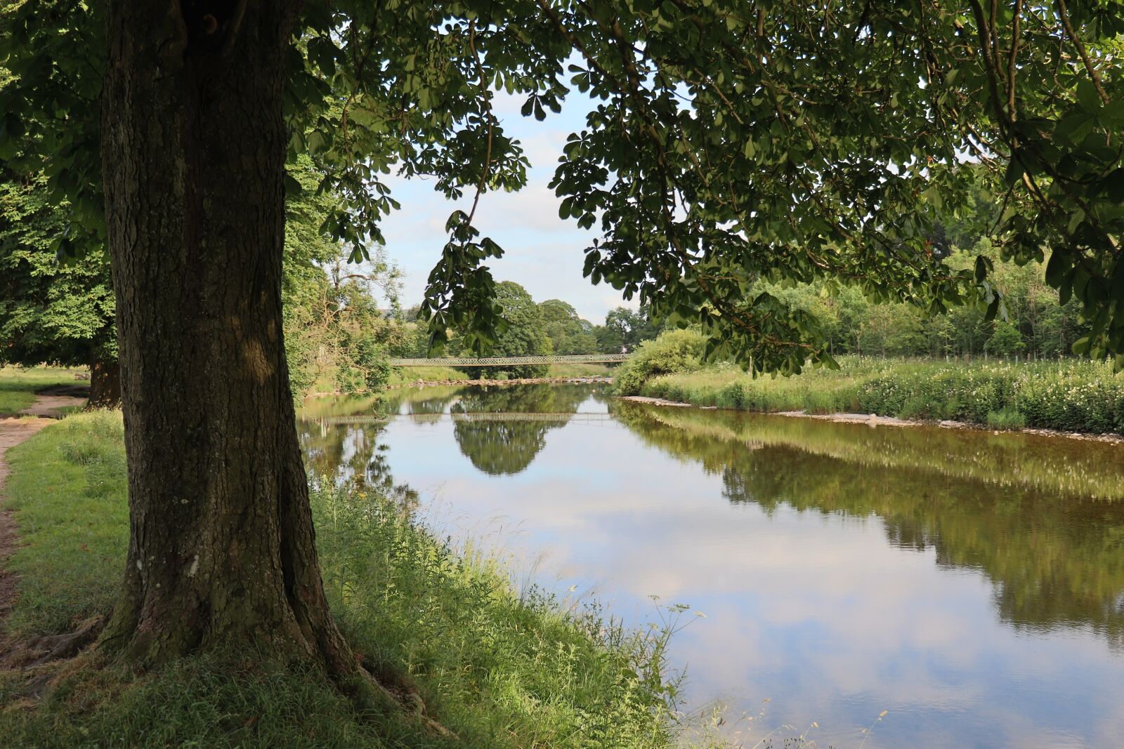 Canon EOS 77D (EOS 9000D / EOS 770D) sample photo. River, tree, rest photography