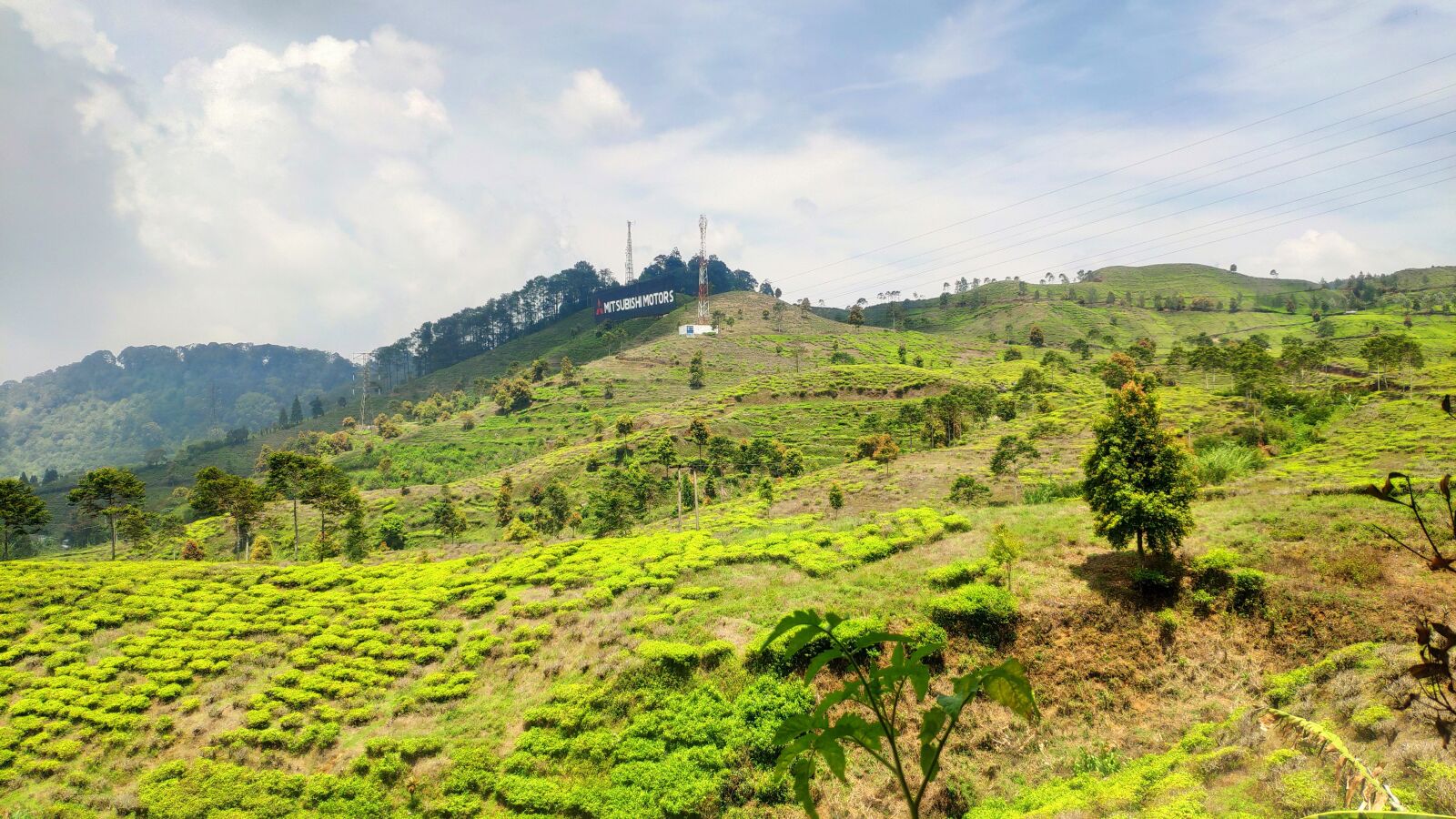 Xiaomi MI 8 sample photo. Tea plant, hill, agriculture photography