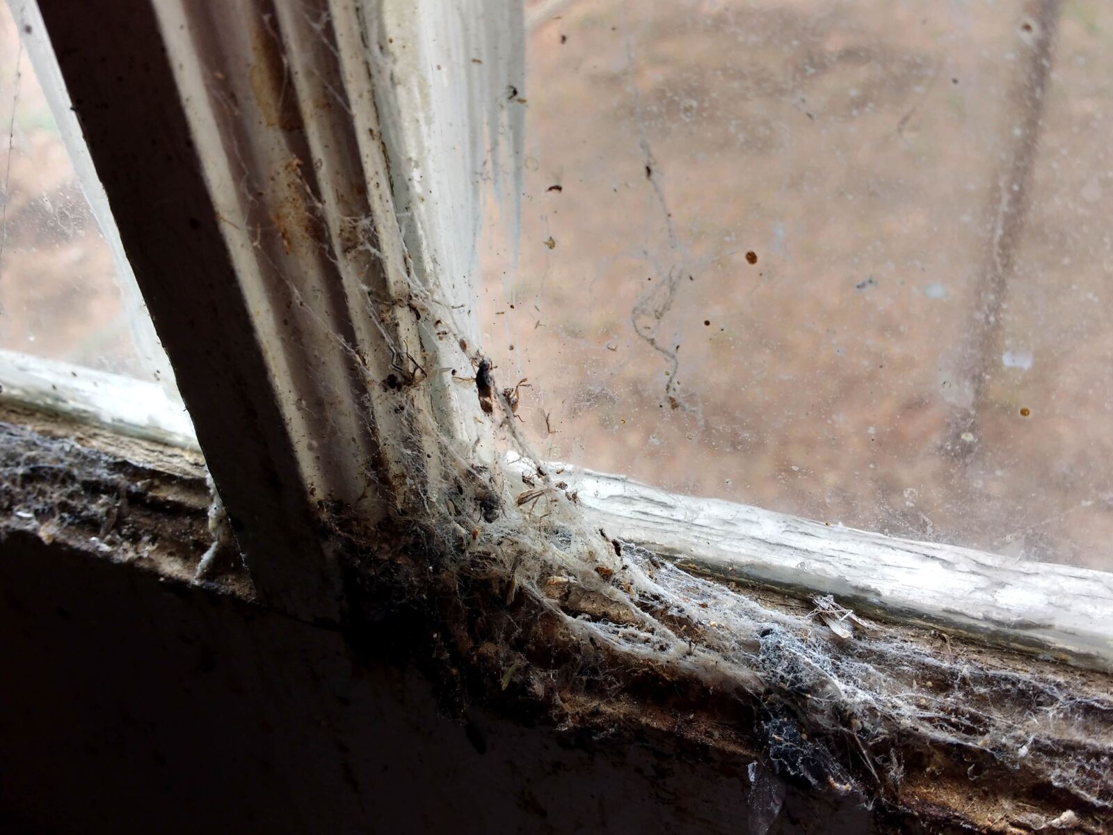 Motorola MotoG3 sample photo. Dirt, dirty, glass, window photography